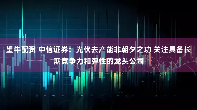 望牛配资 中信证券：光伏去产能非朝夕之功 关注具备长期竞争力和弹性的龙头公司