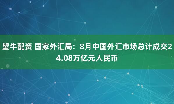 望牛配资 国家外汇局：8月中国外汇市场总计成交24.08万亿元人民币