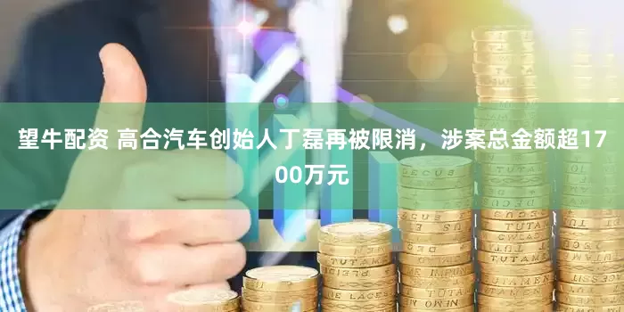 望牛配资 高合汽车创始人丁磊再被限消，涉案总金额超1700万元