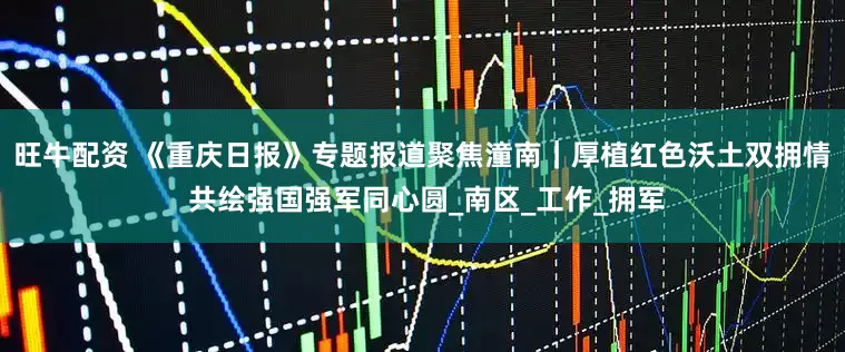 旺牛配资 《重庆日报》专题报道聚焦潼南｜厚植红色沃土双拥情 共绘强国强军同心圆_南区_工作_拥军