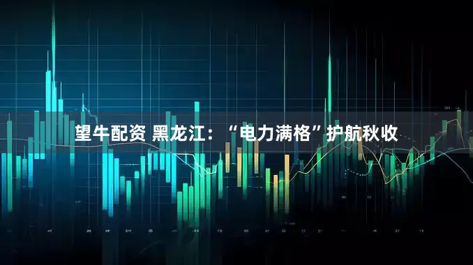 望牛配资 黑龙江：“电力满格”护航秋收